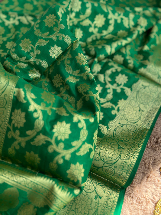 Timeless Plain Raw Silk Suit with Banarasi Dupatta