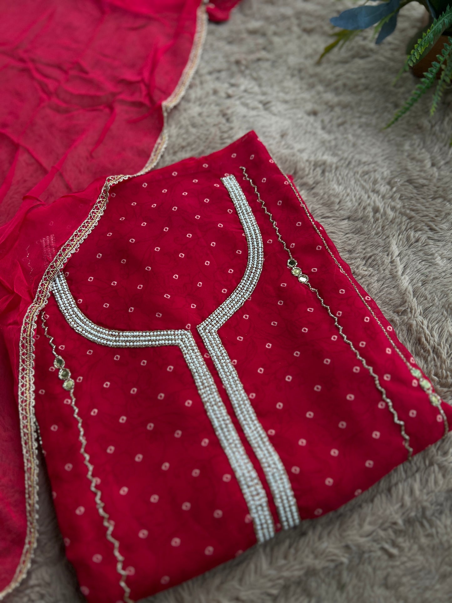 Rani Georgette Organza with Mirror & Pearl