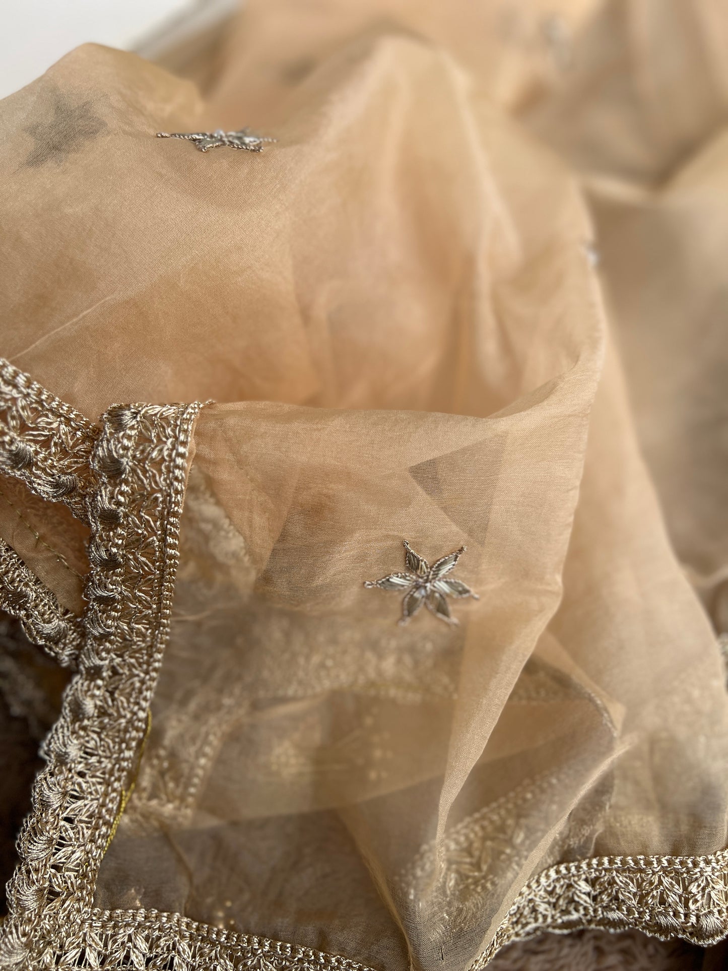 Greenish-Golden Organza Handwork Salwar suit