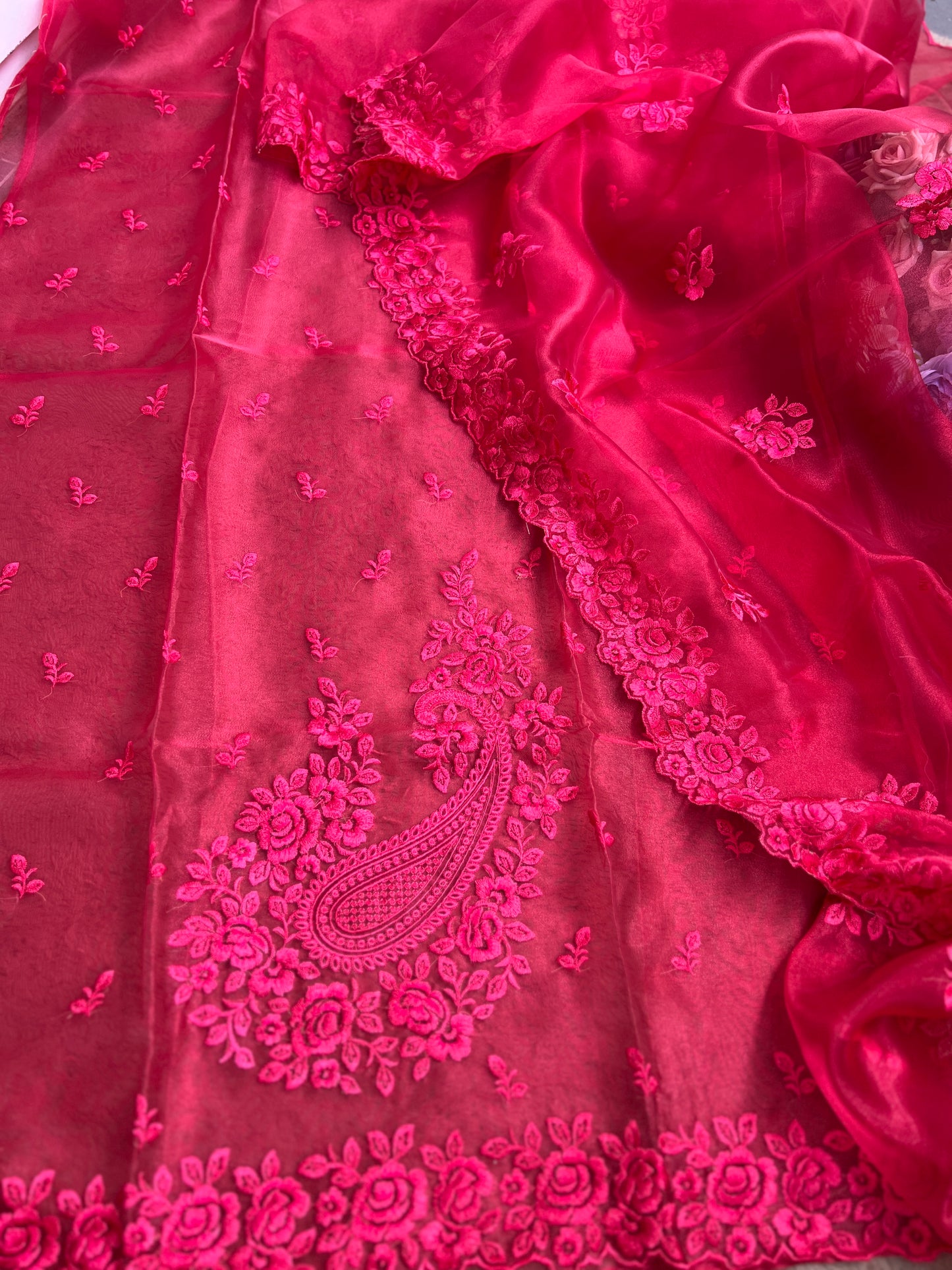 Luxury Organza Glow • Designer Embroidered Suit Set