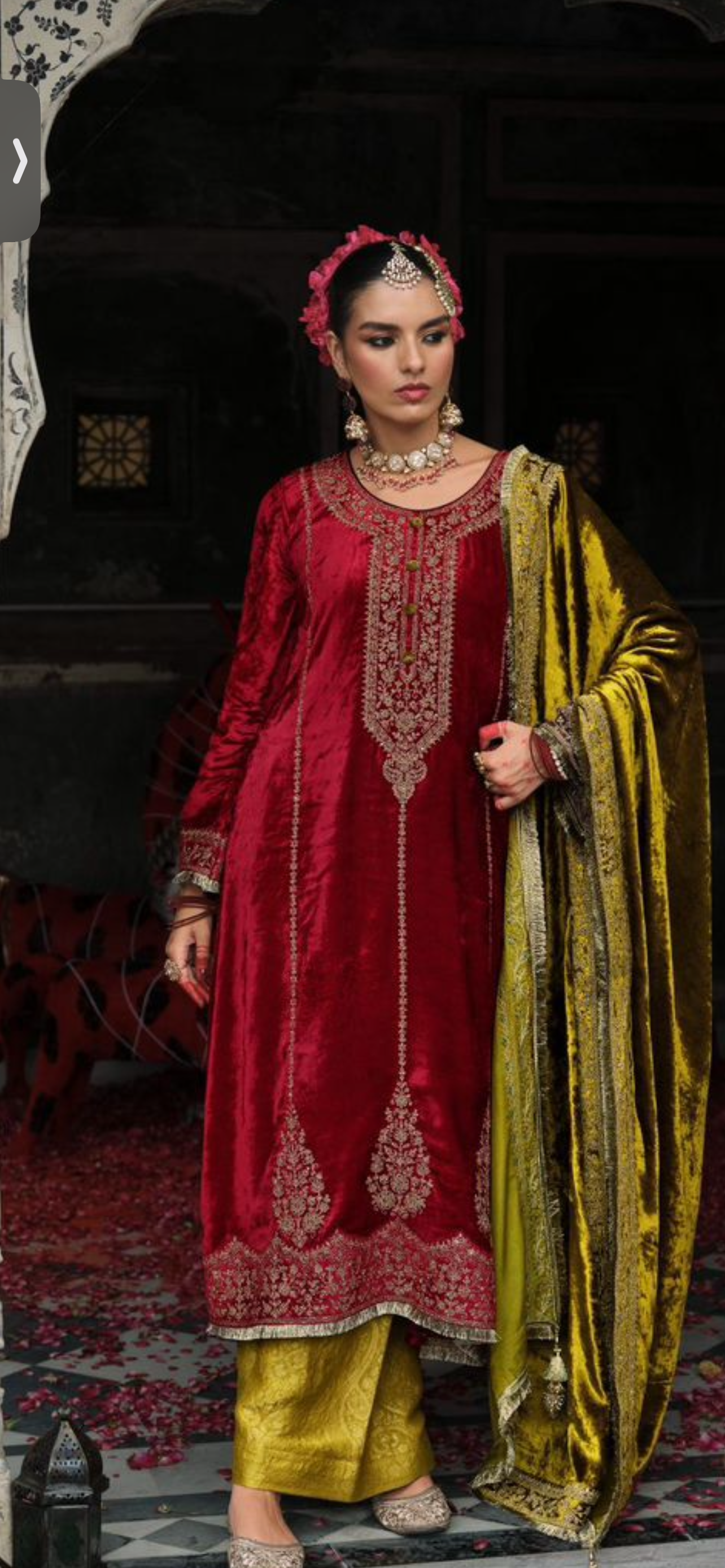 Timeless Winter Couture: Embroidered Velvet Ensemble