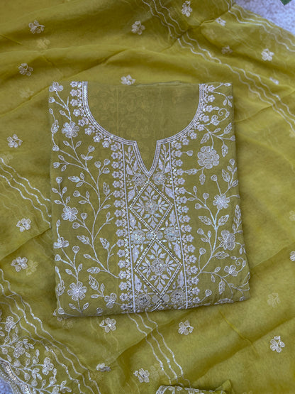 Exquisite Pure Chiffon Chikankari Work Salwar Suit