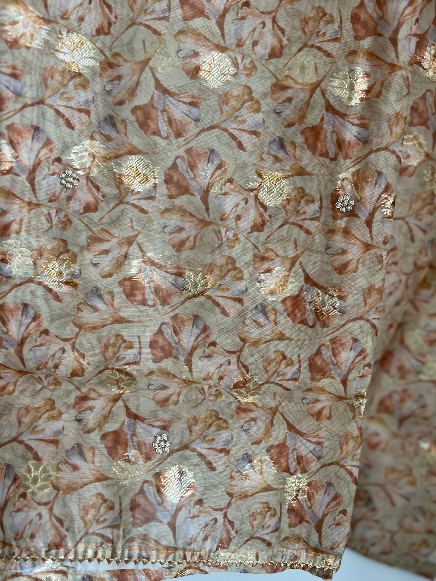 Light Olive Organza Hand Embroidered Salwar Suit