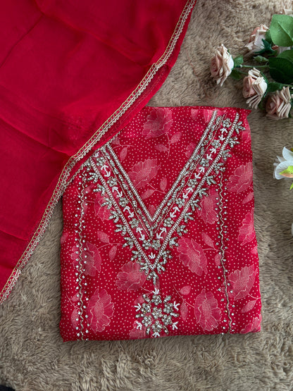 Bold Red V-Neck Organza Handwork Salwar suit
