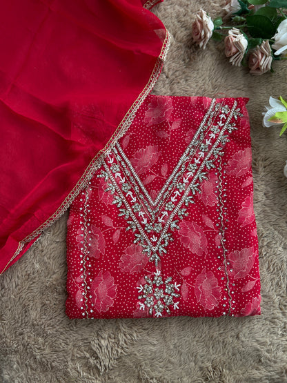 Bold Red V-Neck Organza Handwork Salwar suit