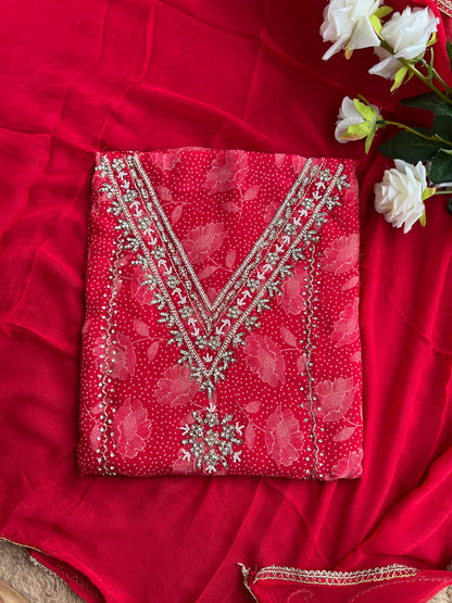 Bold Red V-Neck Organza Handwork Salwar suit