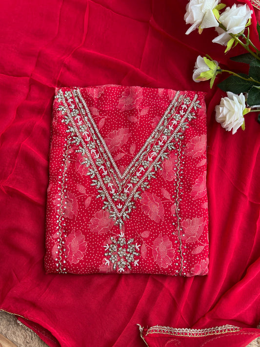 Bold Red V-Neck Organza Handwork Salwar suit