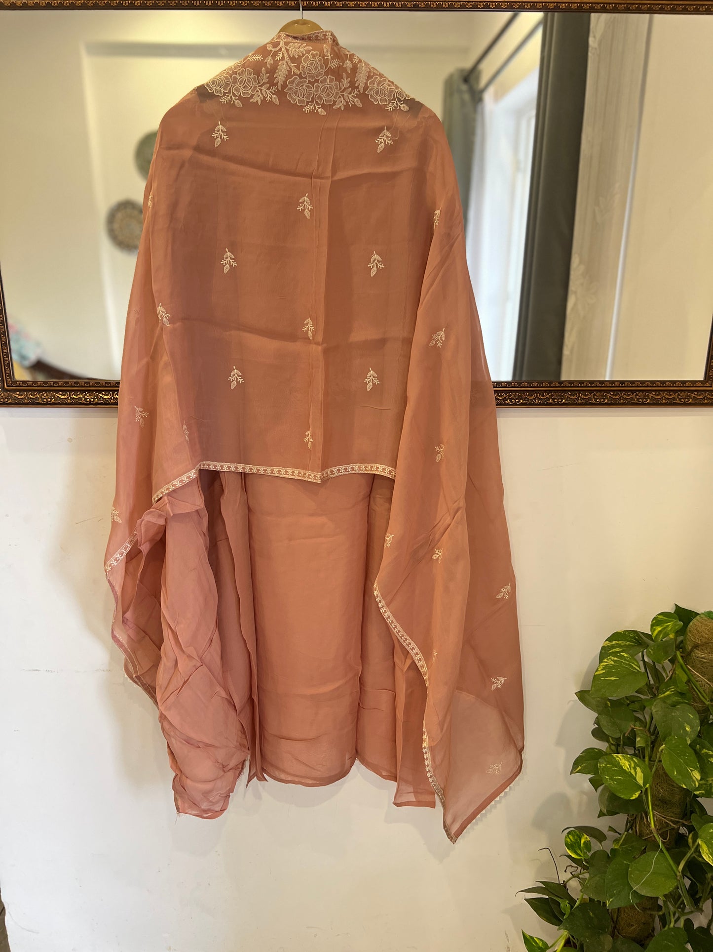 Stunning pastel shades Viscose Organza Salwar Suit