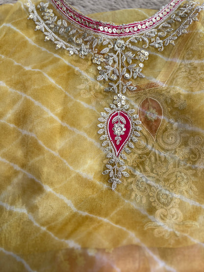 Laheriya Embroidered Beauty with Organza Dupatta