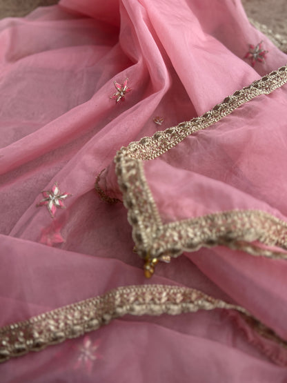 Pink  Organza Handwork Salwar Suit