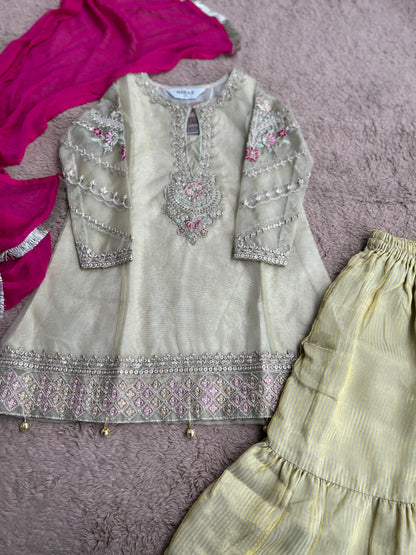 Pastel Gold Embroidered Kurta Sharara Set