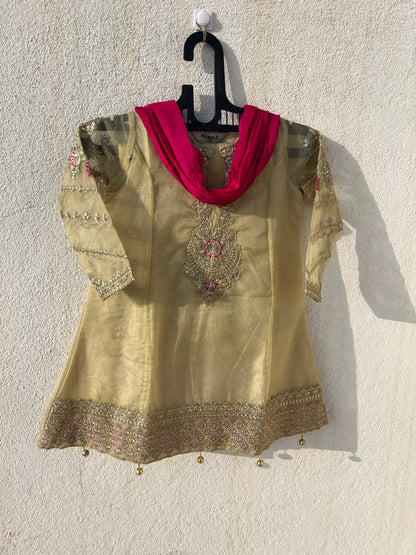 Pastel Gold Embroidered Kurta Sharara Set