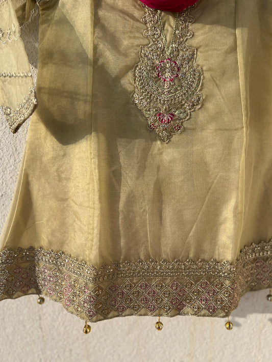 Pastel Gold Embroidered Kurta Sharara Set