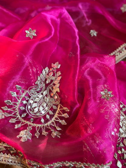 Radiance Redefined: Gota Patti on Luxe Shimmer Organza