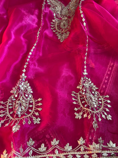 Radiance Redefined: Gota Patti on Luxe Shimmer Organza