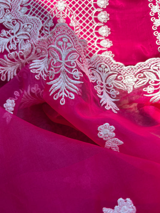 Hot pink Embroidered Semistiched