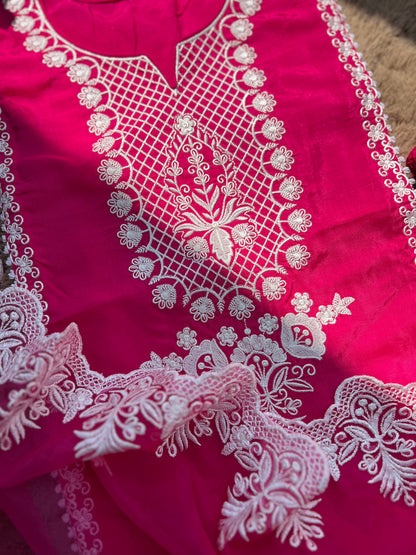 Hot pink Embroidered Semistiched
