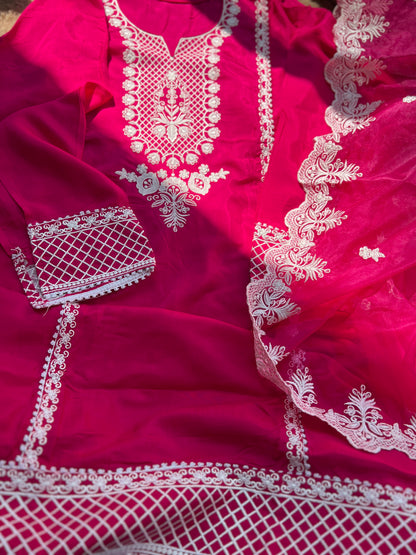 Hot pink Embroidered Semistiched