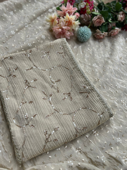 Premium Crushed Shimmer Silk Paired with Stunning Chikankari Detail
